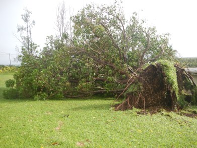 Cyclone Zena Damage at VARTC 006
