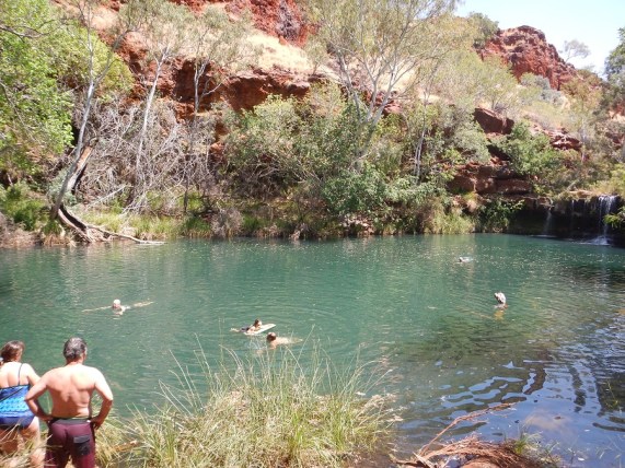 Fern Pool at Dales Gorge